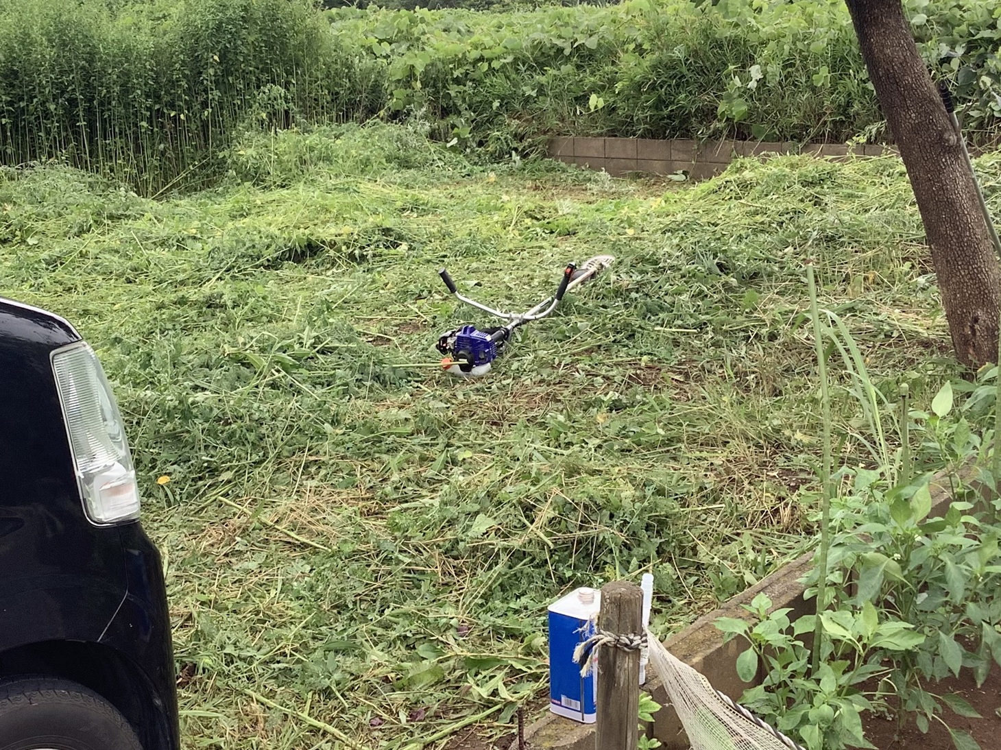 草刈機購入